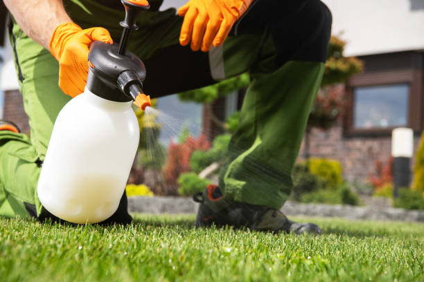 Best Ant Control Services  in Richwood, OH