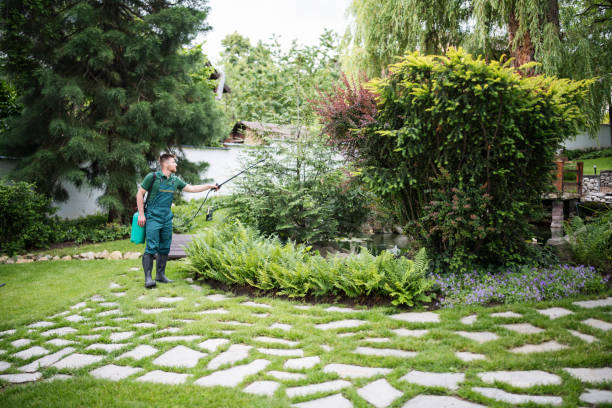 Best Local Pest Control Services  in Richwood, OH
