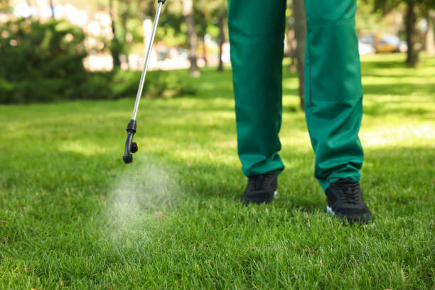 Best Residential Pest Control  in Richwood, OH