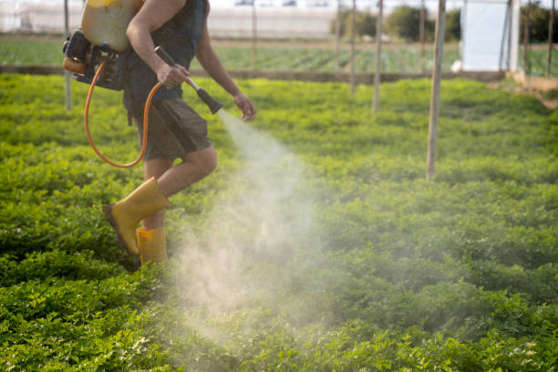 Best Mosquito Control Services  in Richwood, OH