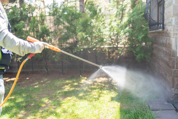 Best Termite Control Services  in Richwood, OH