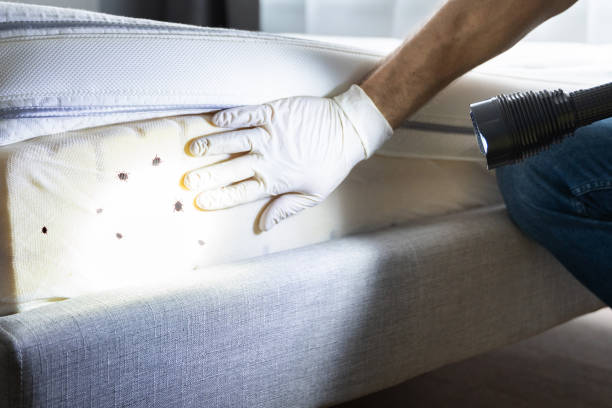 Best Pest Control Near Me  in Richwood, OH