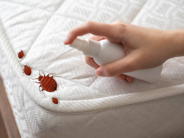 Best Cockroach Control Services  in Richwood, OH