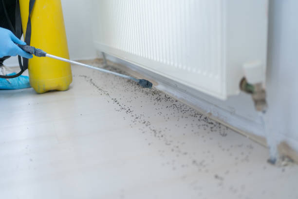 Best Pest Inspection Near Me  in Richwood, OH