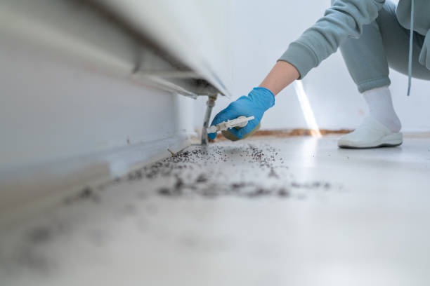 Best Pest Removal Services  in Richwood, OH